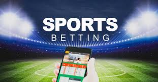 No-Verification Casinos for Quick Play 15 No-Verification Casinos for Quick Play 15