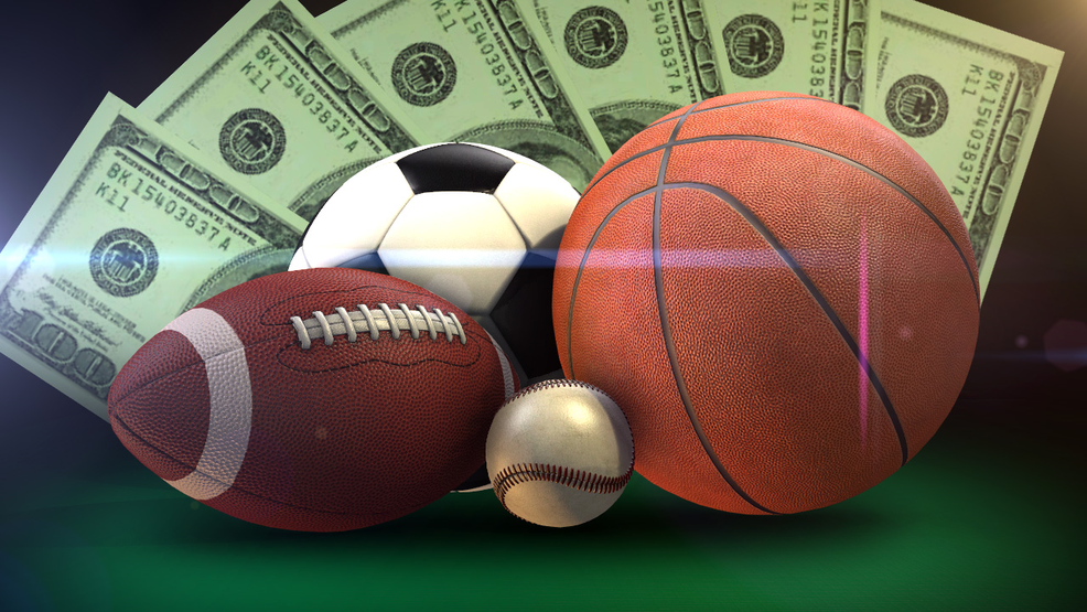 Exploring the World of o9bet Your Ultimate Online Betting Destination