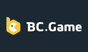 Tout ce que vous devez savoir sur BC App FR